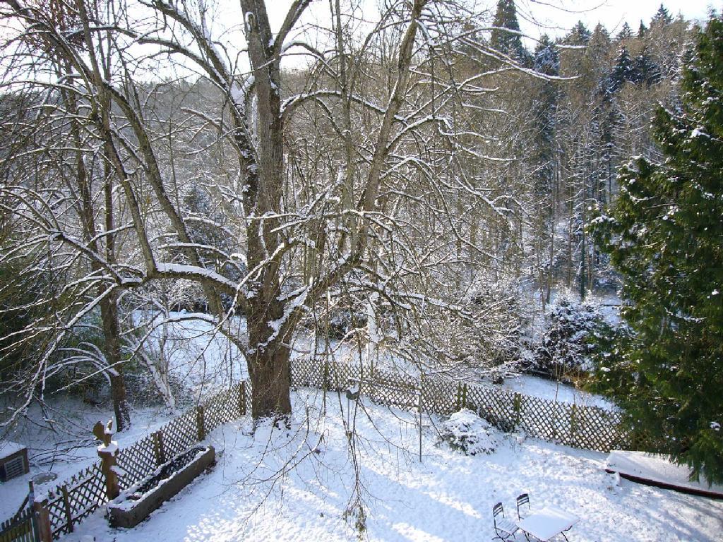 Burghof Wallhausen Констанц Екстер'єр фото